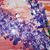 Susan Critelli Deakins's profile image