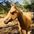 Victoria Lynn Markowski's profile image