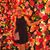 Brandi Reed's profile image