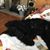 Cheryl Griggs Ramey's profile image