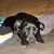 Marian Bovello's profile image