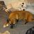 Dawn Marie Spiess Wilkinson's profile image