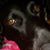 Eileen Eller's profile image
