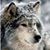 Michele Davis's profile image