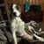 Zoe Ruhl's profile image