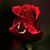 Debbie J Montague's profile image
