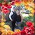 Jen Van Jaarsveld's profile image