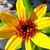 Dennis Pennington's profile image