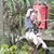 George Stowers's profile image