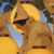 Susan Goulet's profile image