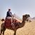 Eric Weaver's profile image
