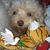 Patsy Low's profile image
