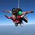 Diana Lynn Biddle's profile image