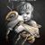 Susan Painter Rollason's profile image