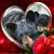 Sharon Bear's profile image