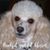 Johnny Cisneros's profile image