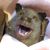 Robin Lillibridge's profile image