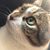 Allaina Michael's profile image
