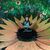 Kelli Proffitt's profile image