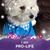 Barry N Brenda Greene's profile image