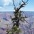 Heike Benzin's profile image