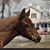 Donna Thompson's profile image