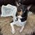 Mary Berryman Varghese's profile image