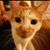 Megan Bonnett's profile image