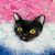 Bridget Hanley Cohen's profile image