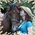 Heather Marie Sherrer's profile image
