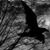 IIvan Troncoso's profile image