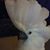 Mary Hahn's profile image