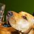 Ted Hoyt's profile image