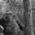 Joe Young's profile image