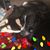 Denise Walker's profile image