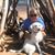Lisa Sheedy Schadewald's profile image