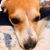 Heather Faris Pankratz's profile image