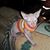 Sheila Stevens's profile image
