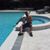 Jose Cunha's profile image