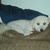 Dagostino Philip's profile image