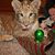 Kimberly Struchen Aten's profile image