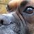 Courtney Martinez's profile image