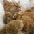 Jeanine Ridenour's profile image