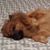 Kevin Stanley's profile image