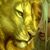 Susan Toolan's profile image
