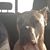 Mindi Hinson's profile image