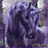 Geri R.'s profile image
