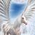 Cynthia Jackson's profile image