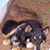 Tom Ulch's profile image