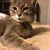 Lori Huddleston's profile image